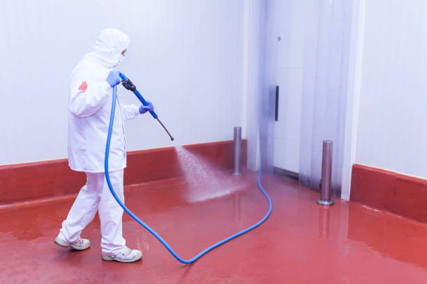  Sunny Isles Beach, FL Pressure Washing Pros